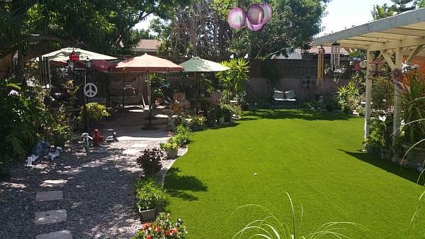 Back yard