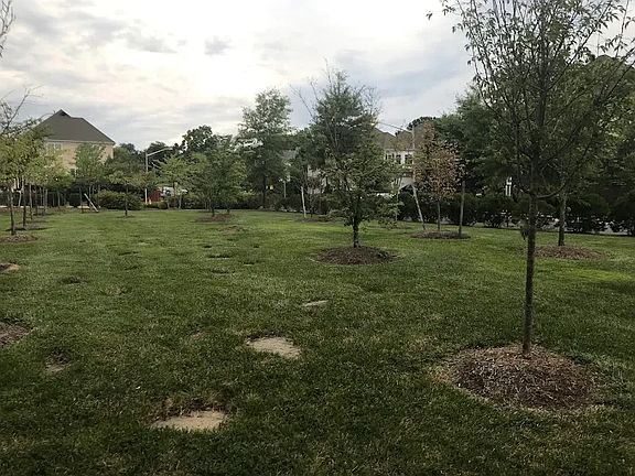 5th image of 5624 Sheals Ln