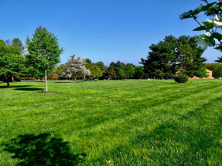 12 Darien #NEW-2ND — Photo 22