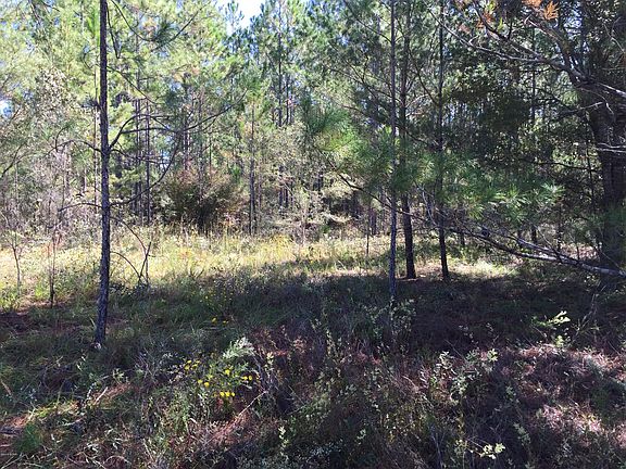 3rd image of 0 Bayberry Ln