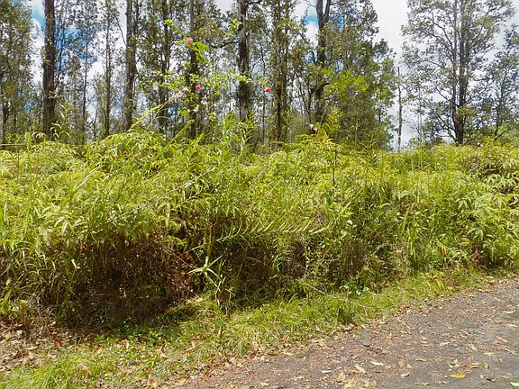 2nd image of Road G Kele #Wao