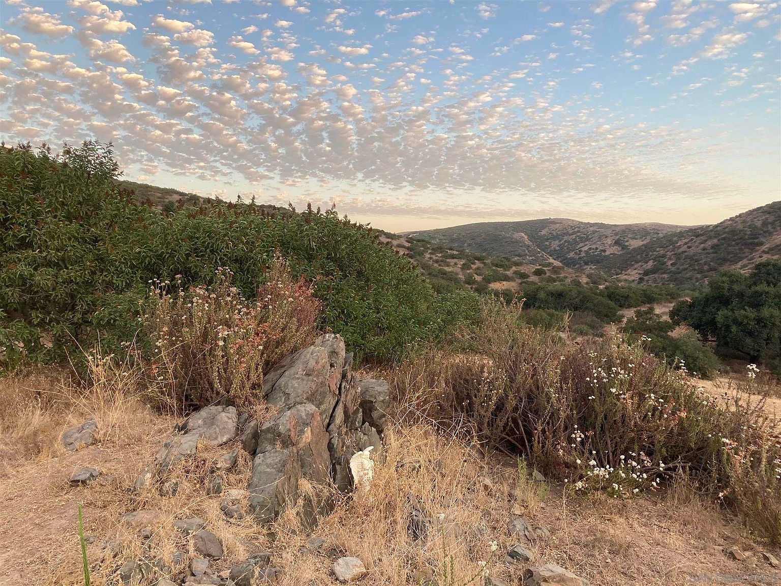 929 Marron Valley Rd, Dulzura, CA 91917 Zillow