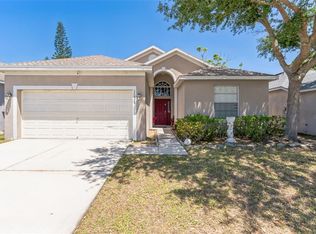 11028 Silver Dancer Dr, Riverview, FL 33579