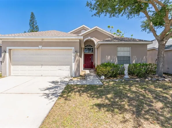 11028 Silver Dancer Dr, Riverview, FL 33579