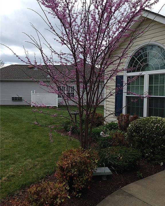 2nd image of 4225 English Holly Cir