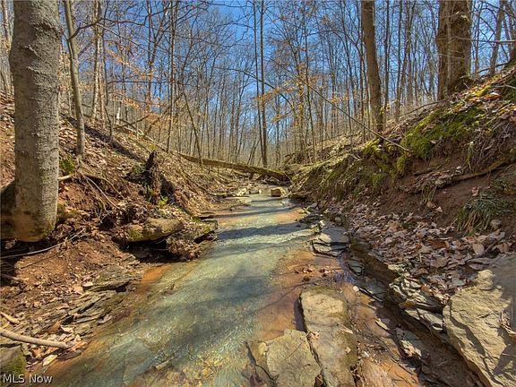 3rd image of 0 Stoneburner Rd