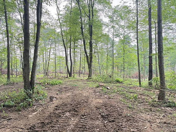 2nd image of 0 Petersburg Rd