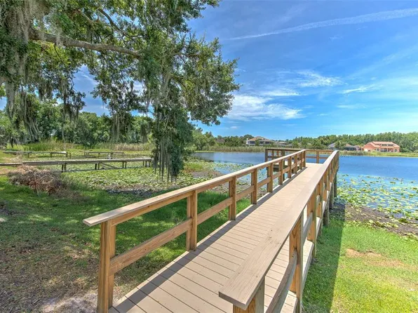 2459 Shorewood Ln, Land O Lakes, FL 34639