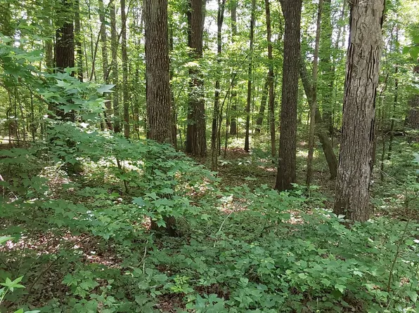 Old Duncan Bridge Rd, Arley, AL 35541