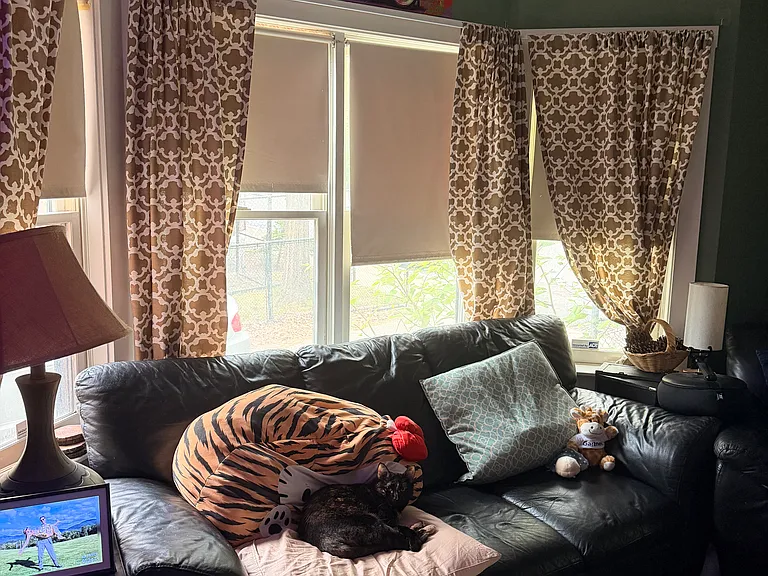 75 Fisher Ave #1 — Photo 11