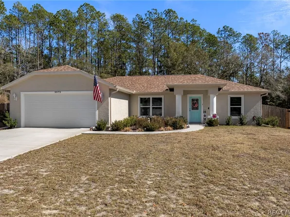 9973 N Chelic Dr, Citrus Springs, FL 34434