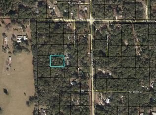 NE 453rd Ave, Old Town, FL 32680