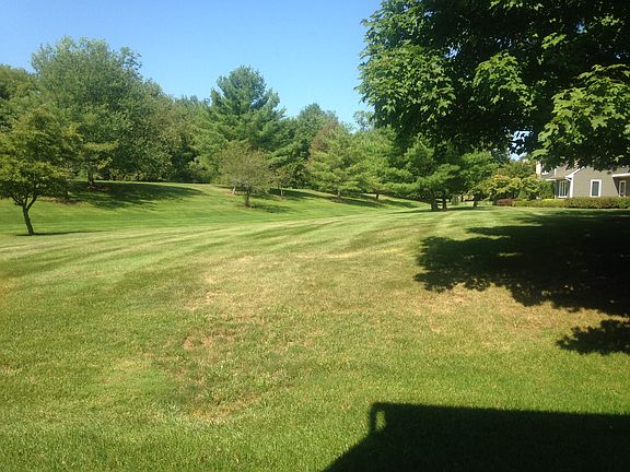Backyard from living room