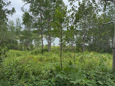 M10l200-1 Off Lyons Road, Lubec, ME, 04652