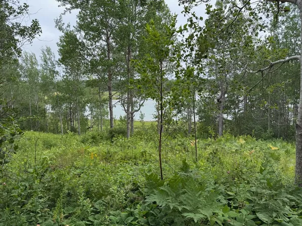 M10l200-1 Off Lyons Road, Lubec, ME 04652