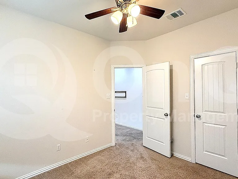 100 Lily Turf Cv — Photo 19