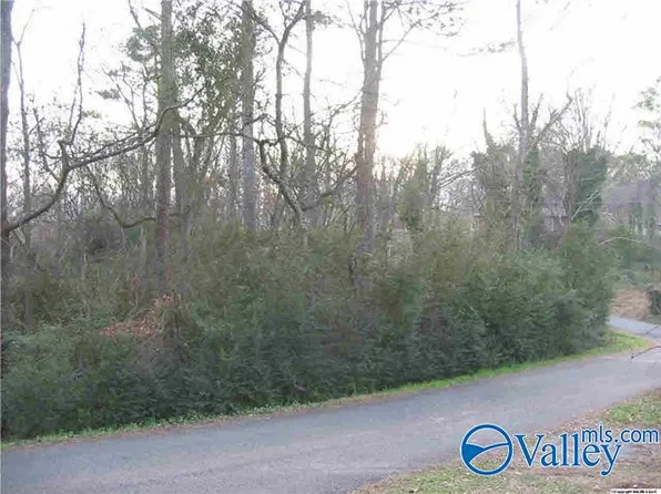 39 Tracy St, Guntersville, AL 35976