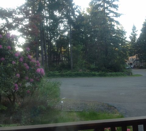 View from front deck
