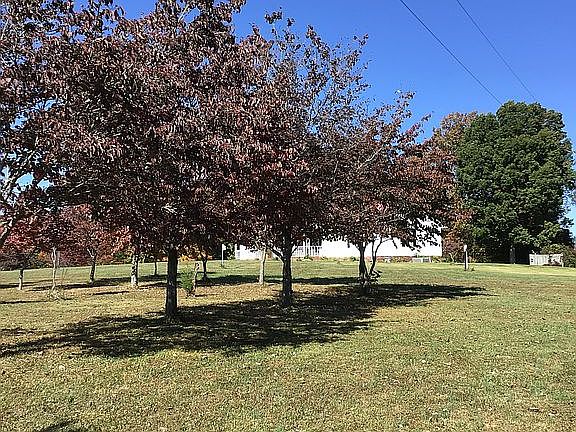 Front Yard