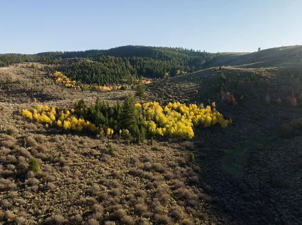 Pescadero Rd, Montpelier, ID 83254