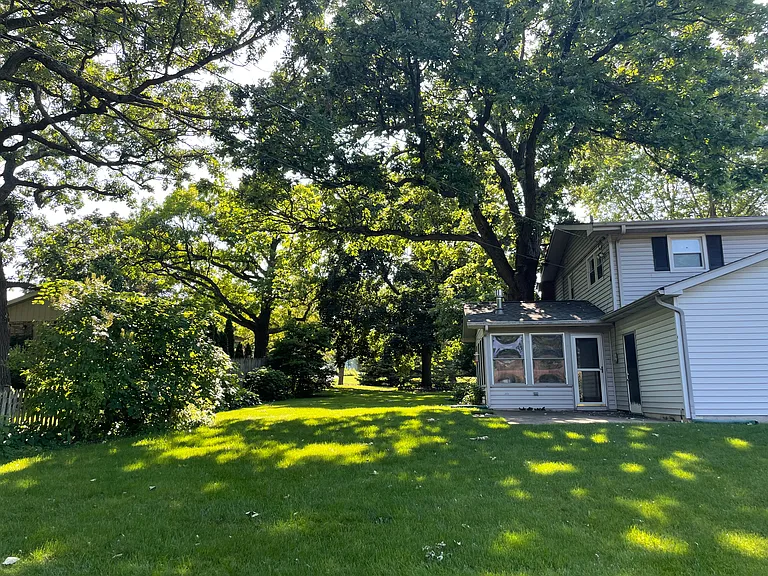 BACKYARD 3_06252024
