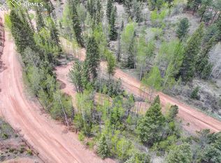 416 Willow Rd, Divide, CO 80814