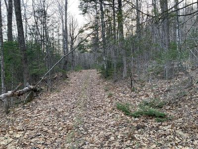 M29, L44.4 Reeds Mill Road, Phillips, ME, 04966