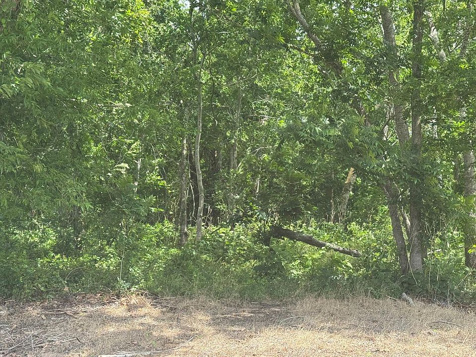 2nd image of 214 County Road 230