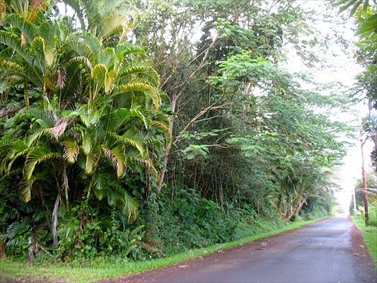 3rd image of Kupono St Lot 20