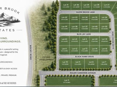 10 Black Hawk Dr, Afton, WY, 83110