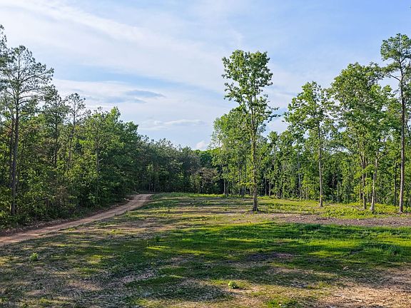Compass South Land Sales Tennessee Fire Tower Corner Ridge 3