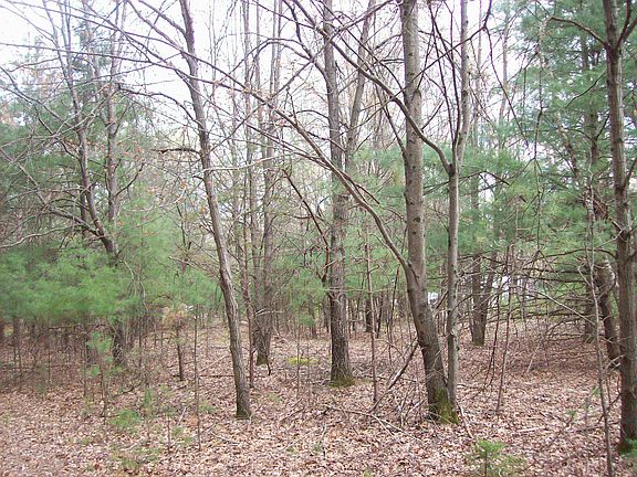 3rd image of LOT 3 W Meiller Rd
