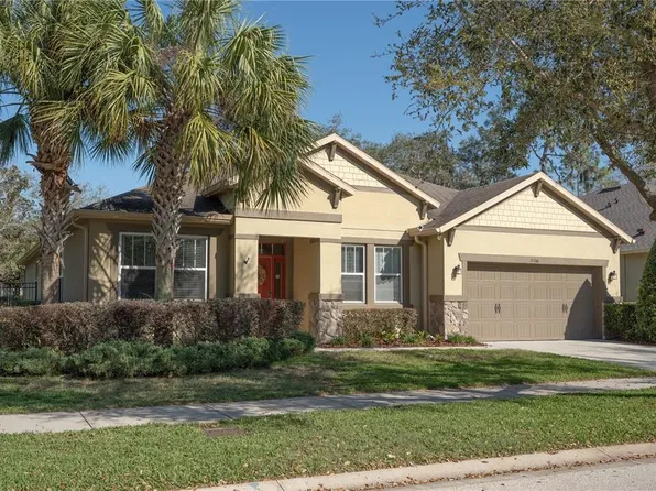 15740 Starling Water Dr, Lithia, FL 33547