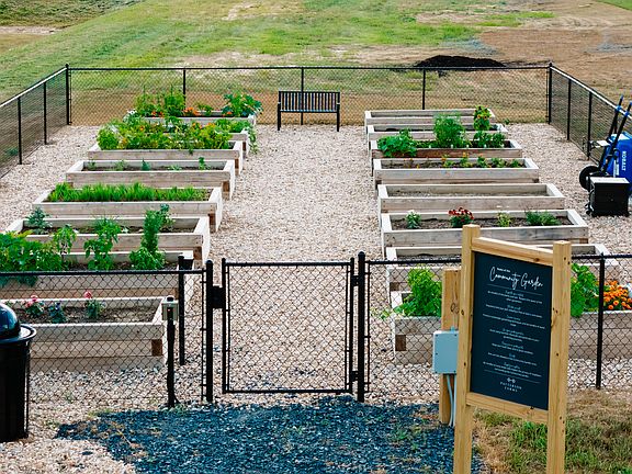 Community Garden