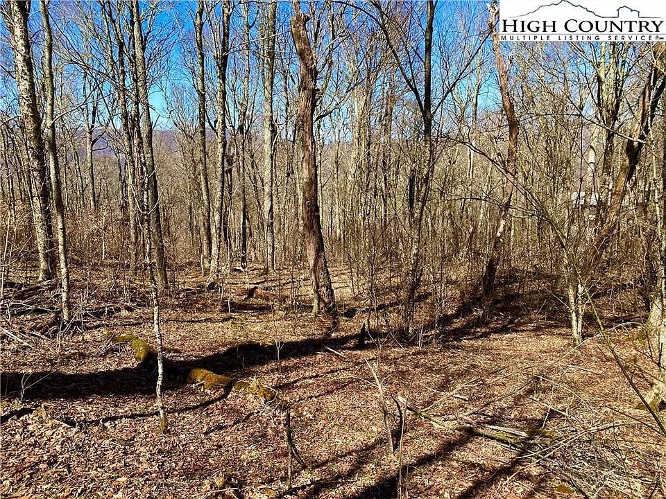 1st image of 38 Sugar Tree