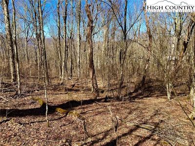 38 Sugar Tree, Sugar Mountain, NC, 28604
