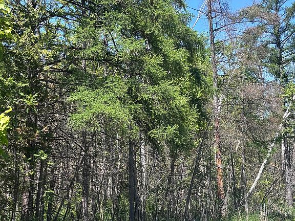 3rd image of 1382 Wilson Point Rd