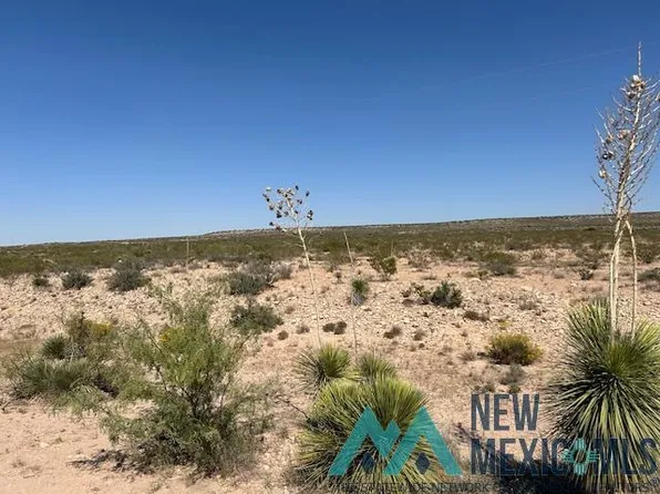 396 Happy Valley Road North Rural Rd, Carlsbad, NM 88220