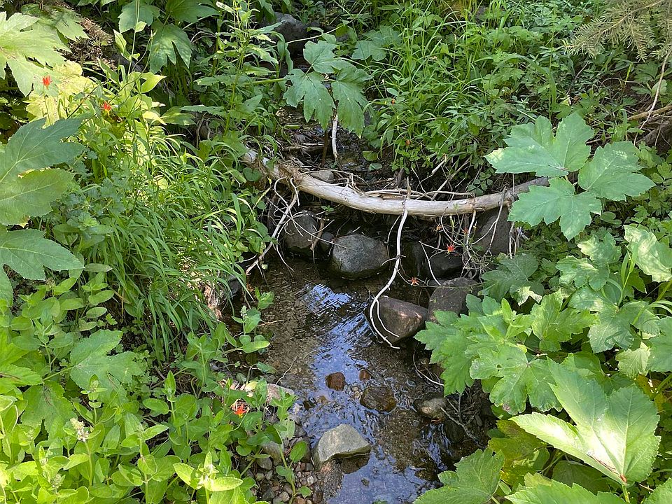 14500 Sloat McRae Rd, Johnsville, CA 96103 MLS 20230872 Zillow