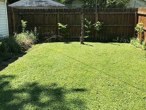 Back yard