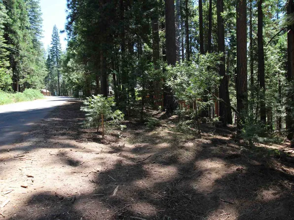 1450 Karock Rd, Arnold, CA 95223