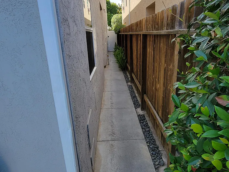North side of house with Fern garden.