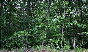 1st image of 0 Old McKaskey Creek Rd SE