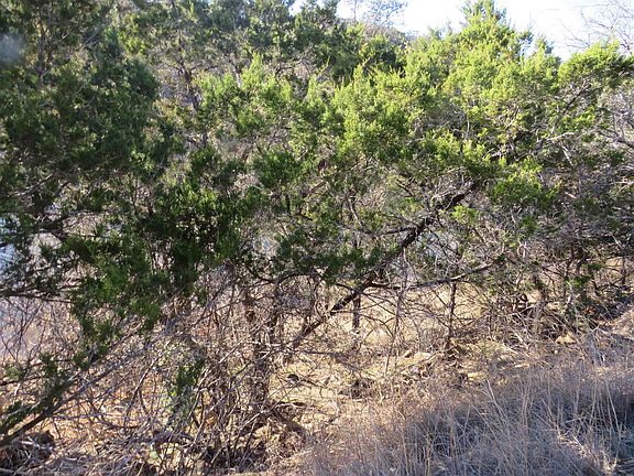 4th image of lot 25 SUNSET CLIFF
