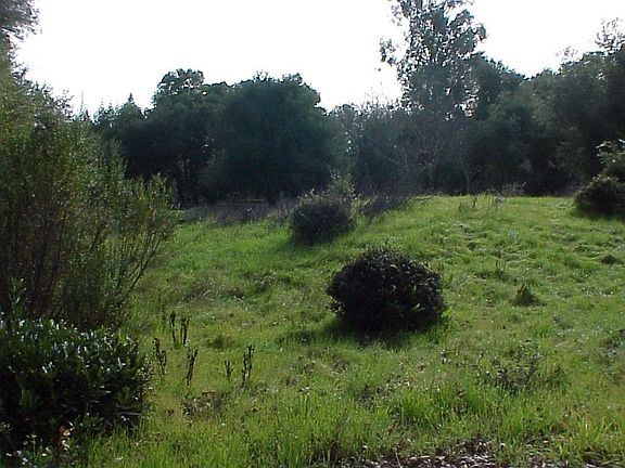 Building Plans on File with City