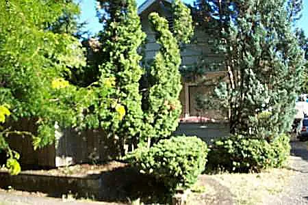 1460 W 8th Ave