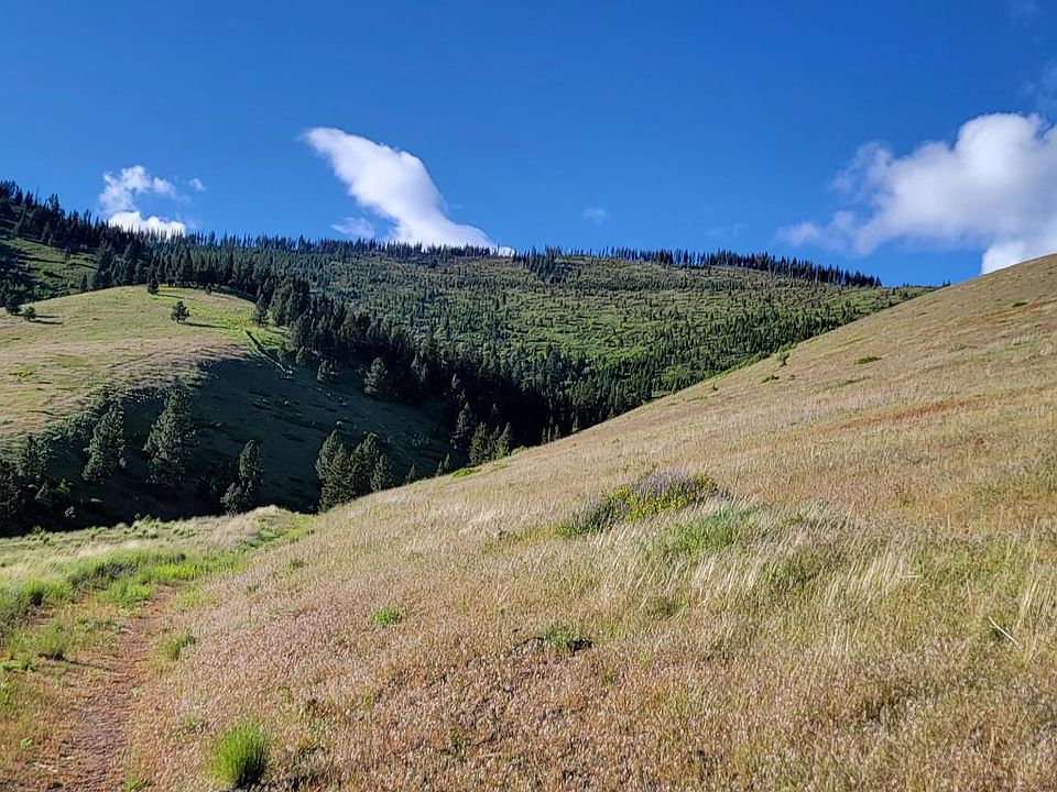Nhn McLaughlin Creek Rd, Paradise, MT 59856 Zillow