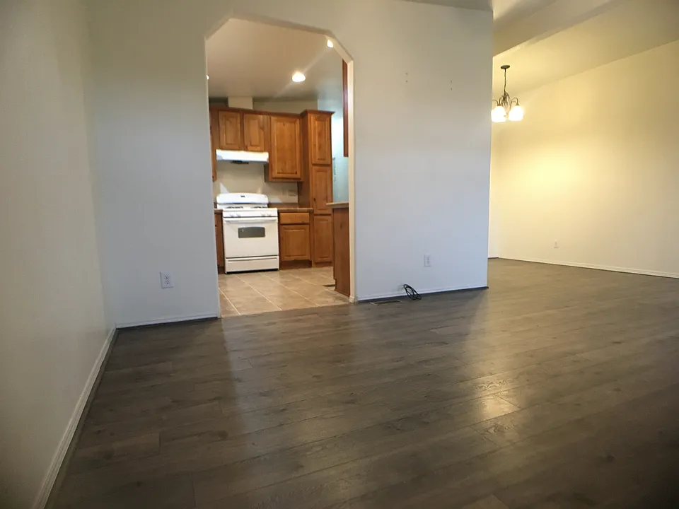 Kitchen, living room and dining area under hanging lights