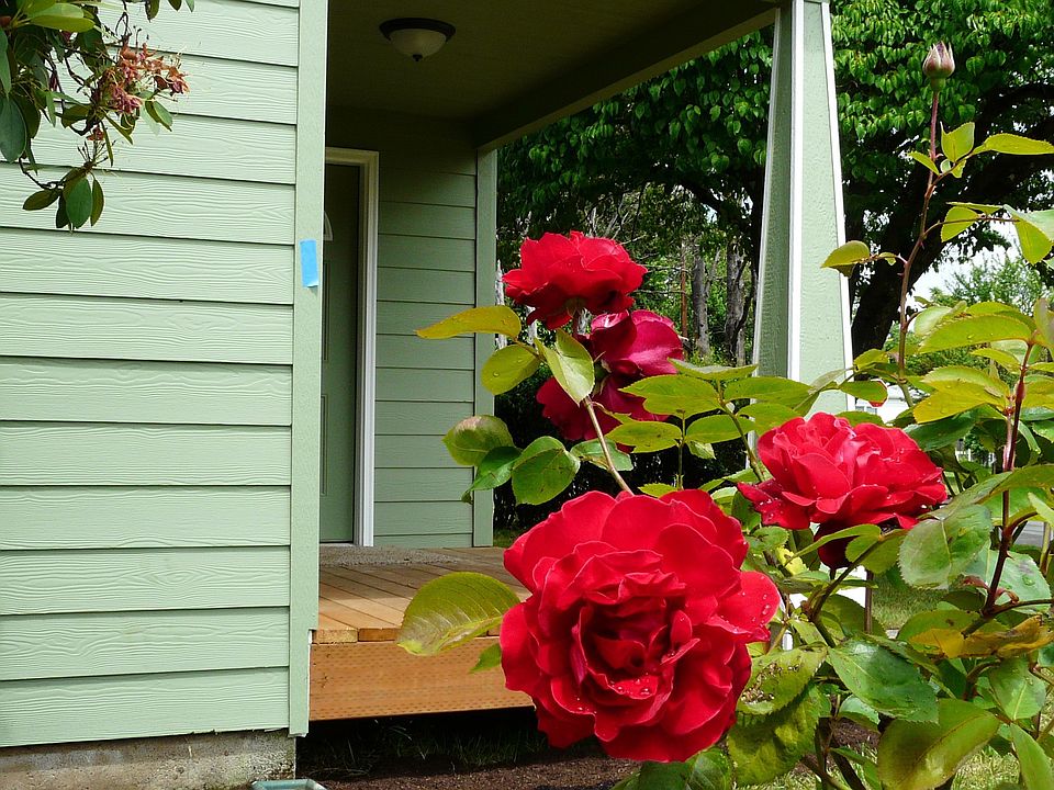 Front porch