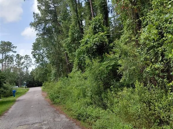 James St Lot 32, Astor, FL 32102